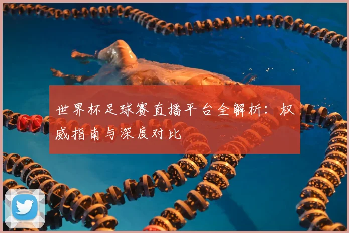 世界杯足球赛直播平台全解析：权威指南与深度对比