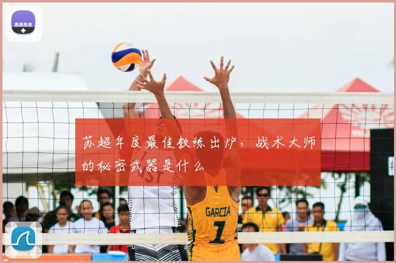 苏超年度最佳教练出炉,战术大师的秘密武器是什么